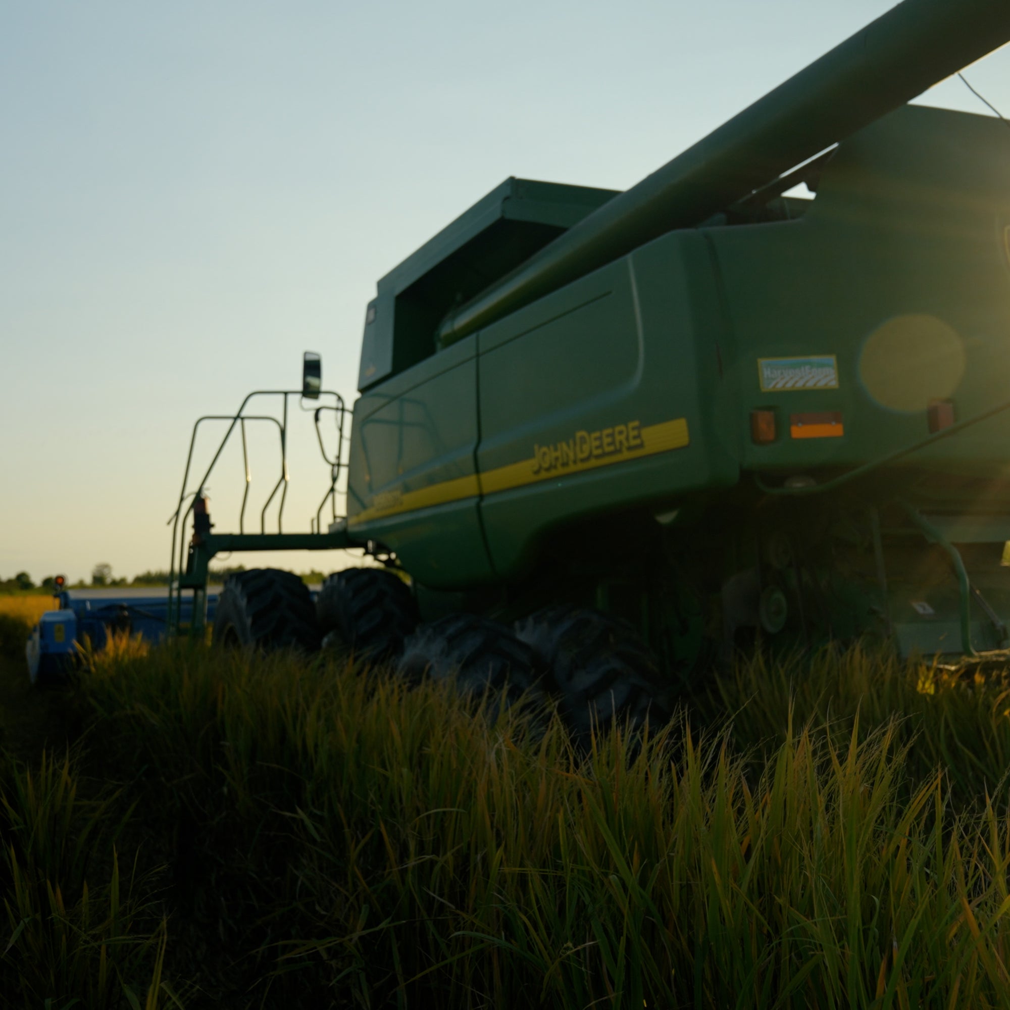 Combine working to harvest sustainably grown White House Farms Charleston Gold Rice, South Carolina