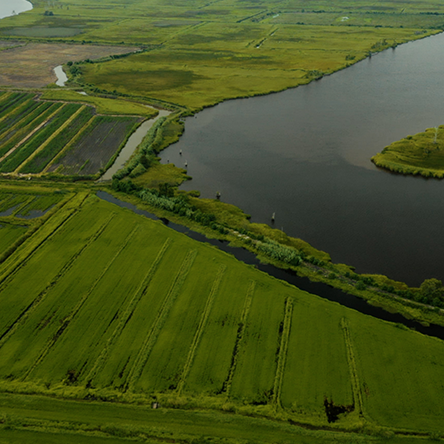 White House Farms's tidal heirloom rice fields Charleston, South Carolina, USA