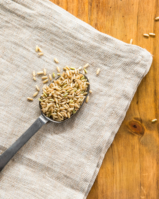 Scoop of Santee Gold non-aromatic Brown Rice from White House Farms, South Carolina lowcountry